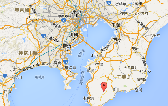 千葉県南房総市大井６８６ 嶺岡牧場の地図