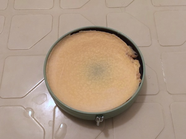 KIWI サドルソープの中身