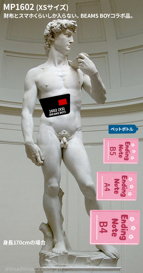 男性とマンハッタンポーテージ XS